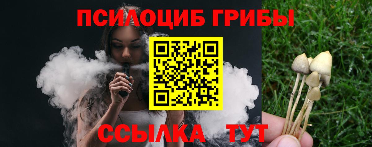 Ступино  Галлюциногенные грибы GOLDEN TEACHER  Вход с VPN  Псилоцибиновые грибы мухоморы 